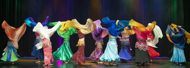 Cours de Baladi Québec